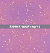 属相婚配属鸡的和属猪的合不合，属相婚配：男属鸡和女属猪相配吗