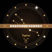 属老鼠的和属狗的配吗(老鼠狗恋爱难)