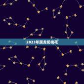 2023年属龙犯桃花，2023上半年正缘来临的生肖