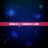 智商排名之一的星座是什么星座，都不敢惹的星座