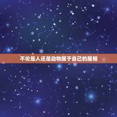 不论是人还是动物属于自己的属相，兴罪问师是哪些生肖？