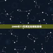 2000年11月男孩龙婚配属相，属龙的女生2000年的和什么属相的男生