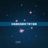 水瓶座的温柔给了哪个星座，十二星座哪个星座是王