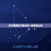 双子座男双子座女在一起会怎么样，双子座男和双子座女配吗