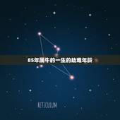 85年属牛的一生的劫难年龄，85年属牛的人哪几年财运较好