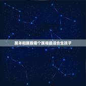 属羊和属猴哪个属相最适合生孩子，属猴男和属羊女生个什么属相的孩子好呢？