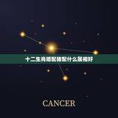 十二生肖婚配猪配什么属相好，属猪的跟什么属相相配好，跟什么属相不相配？