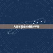 九五年属龙的婚配好不好，95年属猪男和00年属龙女相配吗