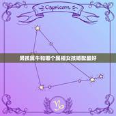 男孩属牛和哪个属相女孩婚配最好，属牛的和什么属相最相配 12属相婚配表