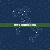 发财鱼眼睛鼓得非常大，招财鱼的一只眼镜凸起，怎么办