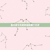 金牛座今天的财运在哪个方向，金牛座今天的财运在哪个方向女