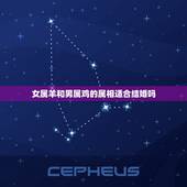 女属羊和男属鸡的属相适合结婚吗，属相男属羊女属鸡的两人结为夫妻会幸福吗