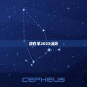 虎白羊2023运势