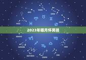2023年哪月怀男孩，2023年各月份五行属性