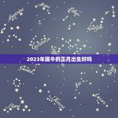 2023年属牛的正月出生好吗，2023年属牛宝宝正月出生好不好