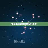 女属羊和男属羊婚配好不好，属羊男和属羊女配吗？