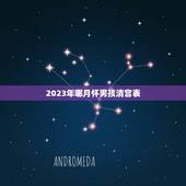 2023年哪月怀男孩清宫表，清宫图2023年生男生女表怎么算