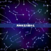 丙申年五行属什么，1994年属狗是什么命