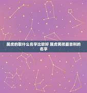 属虎的取什么名字比较好 属虎男孩最吉利的名字