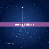 壬寅年之后是什么年，壬寅虎年是什么命