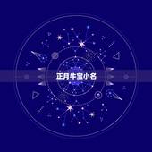 正月牛宝小名，有取名没有？男女都可以，年底或者正月初出生，