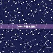 2023年什么属相