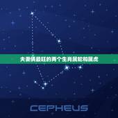 夫妻俩最旺的两个生肖属蛇和属虎，生肖蛇与虎做夫妻会怎样