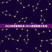 2023年虎宝宝乳名 2023虎宝宝最火乳名