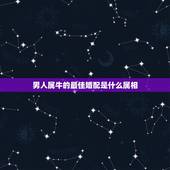 男人属牛的最佳婚配是什么属相，属牛的和什么属相最配