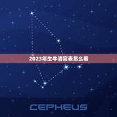 2023年生牛清宫表怎么看，清宫表虚是本年年月减去出生年月加9个月吗？