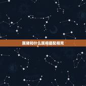 属猪和什么属相最配相克，属猪和什么属相相冲