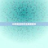 88年属龙同月生能婚配吗，我想知道属龙的人88年生，和什么属相相配