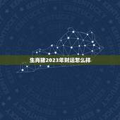 生肖猪2023年财运怎么样，2023年属猪的财运怎么样