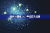 麦玲玲属龙2023年运势及运程(介绍好运连连财源滚滚)