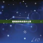 摩羯座的特点是什么男，摩羯座男最宠水瓶女