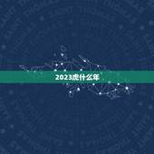 2023虎什么年