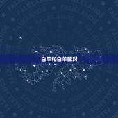 白羊和白羊配对，白羊座遇上白羊座