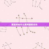 属鼠的和什么属相最配合伙，属鼠和什么属相最配