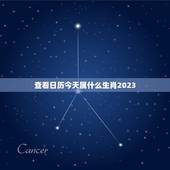 查看日历今天属什么生肖2023，2023年是什么生肖年