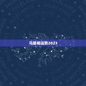 马属相运势2023