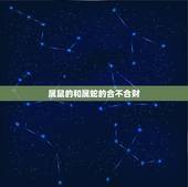 属鼠的和属蛇的合不合财(介绍十二生肖配对中的属鼠和属蛇)