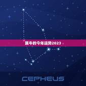 属牛的今年运势2023，1961年属牛人在2023年运势