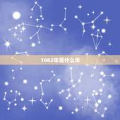 1082年是什么年