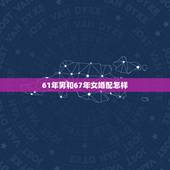 61年男和67年女婚配怎样，64年男和67年女属相配吗？