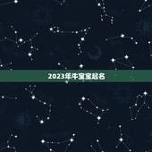 2023年牛宝宝起名，2023年牛宝宝男孩取名有寓意