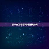 日干支为辛酉再婚配偶如何，什么样的男八字婚姻不好