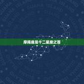 摩羯座是十二星座之首，哪个星座敢惹摩羯座