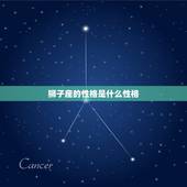 狮子座的性格是什么性格，狮子的性格特点和能力