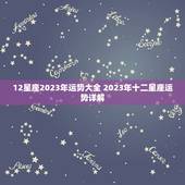 12星座2023年运势大全 2023年十二星座运势详解