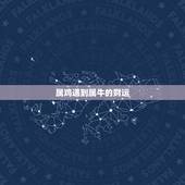 属鸡遇到属牛的财运，属鸡与属牛的合作伙伴好不好